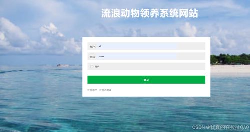關愛與探索 流浪動物領養系統網站與旅游開發項目的數字化創新實踐