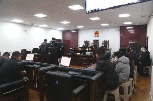 東營廣饒黑社會性質(zhì)組織擔(dān)保業(yè)務(wù)覆滅記 正義判決背后的法治力量