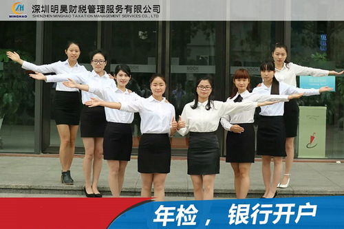 一般納稅人申請與擔(dān)保業(yè)務(wù)融合服務(wù) 石巖企業(yè)的合規(guī)路徑